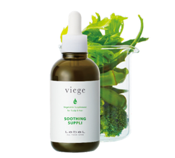 �X�[�W���O�T�v��