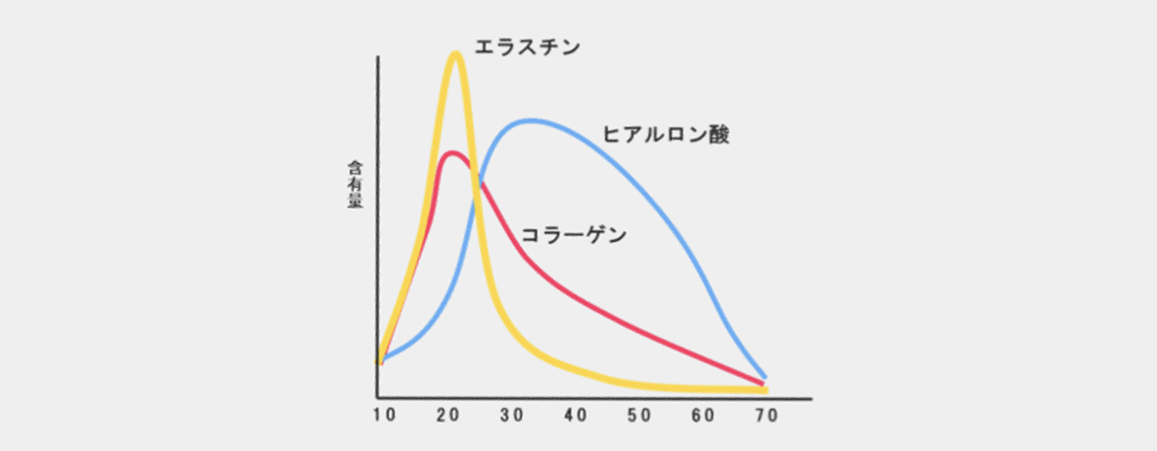 �����ܗL��