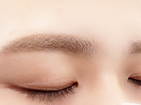 �V�����P�A�J���[