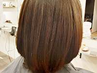 �������P���j���[