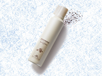 �X�_���X�p