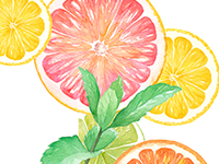 �G�N�X�g���N�[���X�p