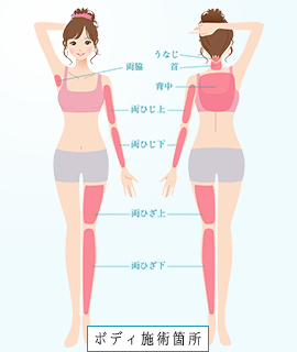 �{�f�B wax�E��