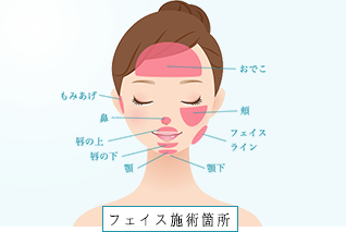 �t�F�C�X wax�E��