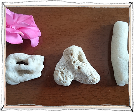 �w�т̏�ł���_���ȏꏊ