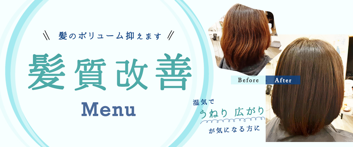 �������P���j���[